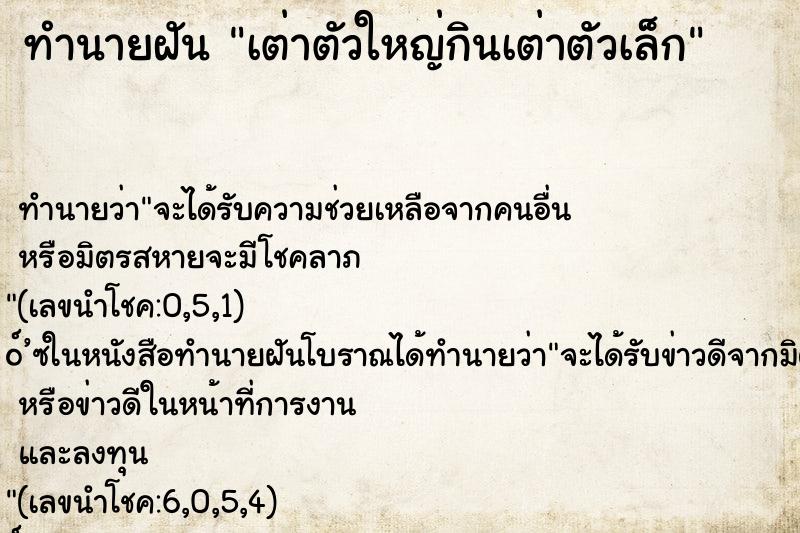 ทำนายฝัน เต่าตัวใหญ่กินเต่าตัวเล็ก ทำนายฝัน เต่าตัวใหญ่กินเต่าตัวเล็ก