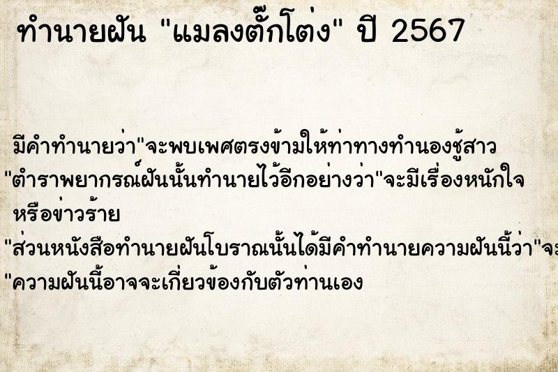 ทำนายฝันแมลงตั๊กโต่ง ทำนายฝันทำนายฝันแมลงตั๊กโต่ง