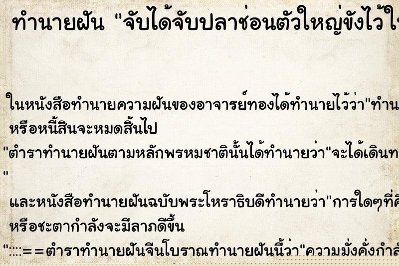 ทำนายฝันจับได้จับปลาช่อนตัวใหญ่ขังไว้ในโอ่งนำ้ ทำนายฝันทำนายฝันจับได้จับปลาช่อนตัวใหญ่ขังไว้ในโอ่งนำ้