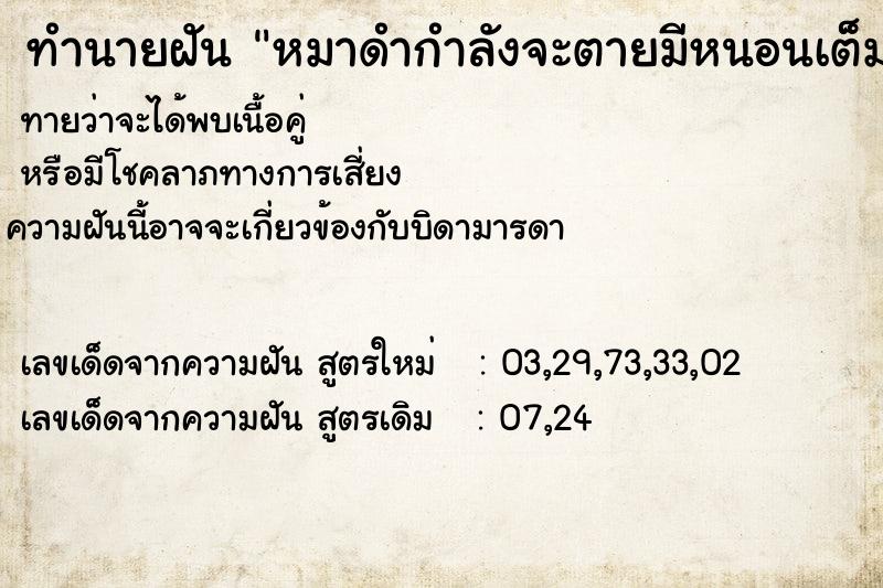 ทำนายฝันทำนายฝันหมาดำกำลังจะตายมีหนอนเต็มตัว