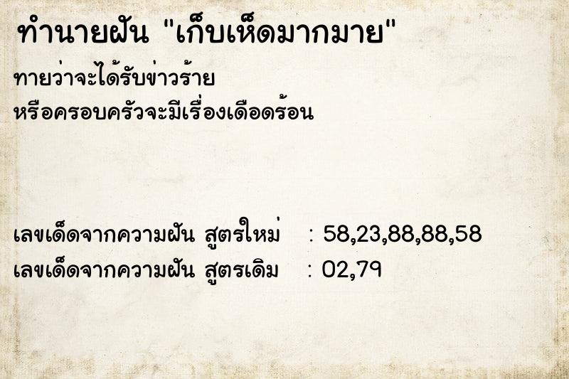 ทำนายฝันเก็บเห็ดมากมาย ทำนายฝันทำนายฝันเก็บเห็ดมากมาย