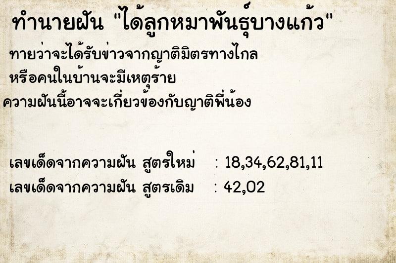 ทำนายฝันทำนายฝันได้ลูกหมาพันธุ์บางแก้ว