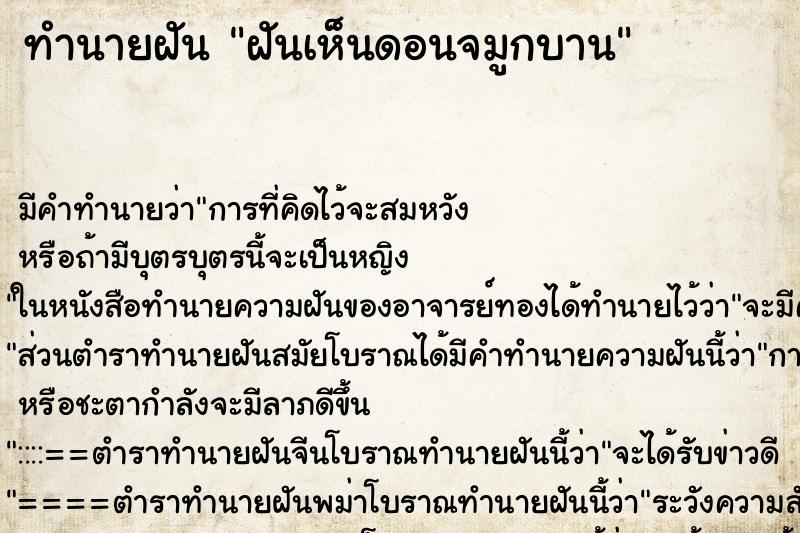 ทำนายฝันทำนายฝันฝันเห็นดอนจมูกบาน