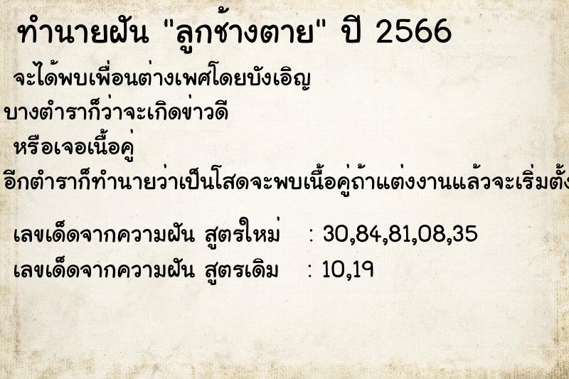 ทำนายฝัน ลูกช้างตาย ตำราโบราณ แม่นที่สุดในโลก