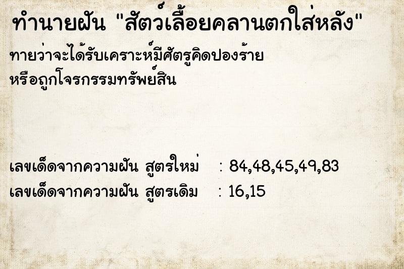 ทำนายฝันสัตว์เลื้อยคลานตกใส่หลัง ทำนายฝันทำนายฝันสัตว์เลื้อยคลานตกใส่หลัง