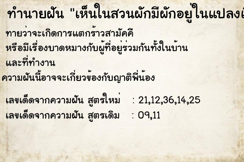 ทำนายฝันทำนายฝันเห็นในสวนผักมีผักอยู่ในแปลงเขียวขจีอยู่เต็มไปหมด