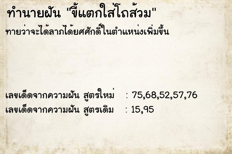 ทำนายฝันทำนายฝันขี้แตกใส่โถส้วม