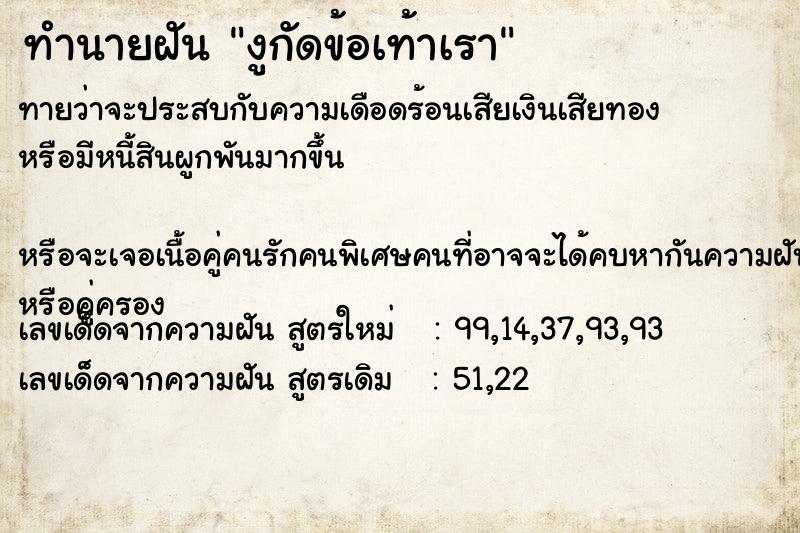 ทำนายฝันงูกัดข้อเท้าเรา ทำนายฝันทำนายฝันงูกัดข้อเท้าเรา