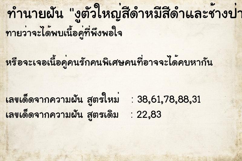 ทำนายฝันทำนายฝันงูตัวใหญ่สีดำหมีสีดำและช้างป่าตัวใหญ่