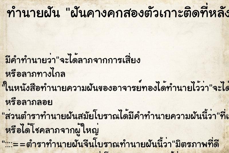 ทำนายฝันฝันคางคกสองตัวเกาะติดที่หลัง ทำนายฝันทำนายฝันฝันคางคกสองตัวเกาะติดที่หลัง