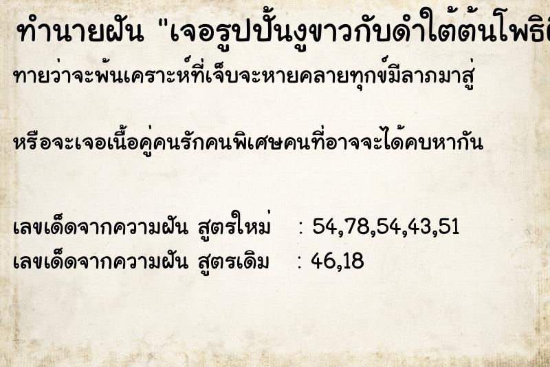 ทำนายฝันเจอรูปปั้นงูขาวกับดำใต้ต้นโพธิผื ทำนายฝันทำนายฝันเจอรูปปั้นงูขาวกับดำใต้ต้นโพธิผื