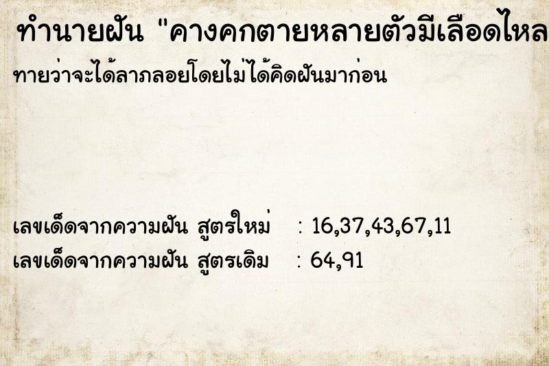 ทำนายฝันคางคกตายหลายตัวมีเลือดไหลเต็มเลย ทำนายฝันทำนายฝันคางคกตายหลายตัวมีเลือดไหลเต็มเลย