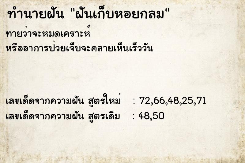 ทำนายฝันฝันเก็บหอยกลม ทำนายฝันทำนายฝันฝันเก็บหอยกลม