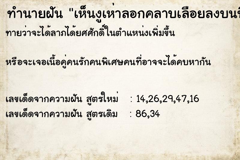 ทำนายฝันเห็นงูเห่าลอกคลาบเลือยลงบนที่นอน ทำนายฝันทำนายฝันเห็นงูเห่าลอกคลาบเลือยลงบนที่นอน