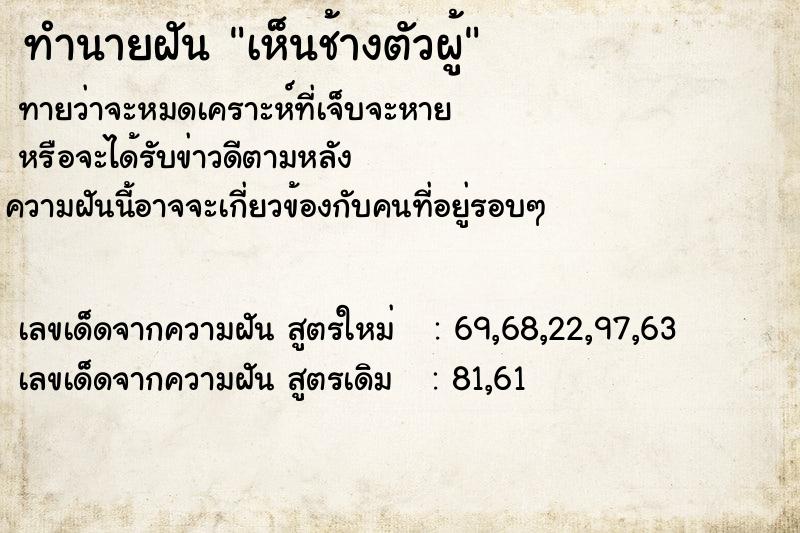 ทำนายฝัน เห็นช้างตัวผู้ ทำนายฝัน เห็นช้างตัวผู้