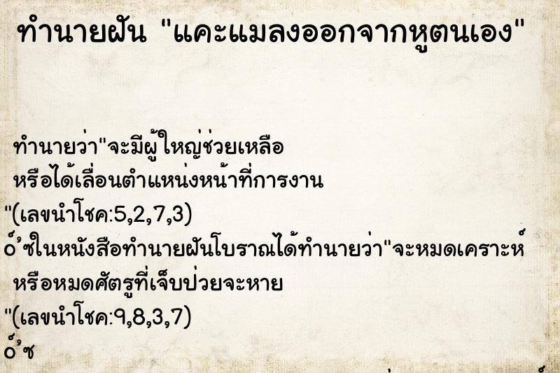 ทำนายฝัน แคะแมลงออกจากหูตนเอง