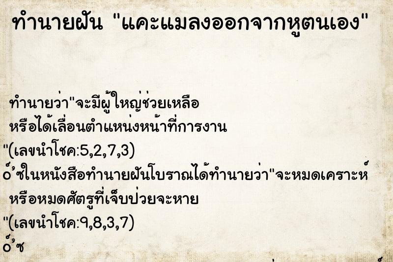 ทำนายฝัน แคะแมลงออกจากหูตนเอง ตำราโบราณ แม่นที่สุดในโลก