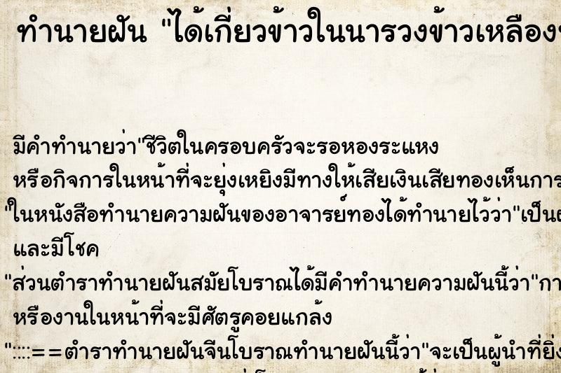 ทำนายฝัน ได้เกี่ยวข้าวในนารวงข้าวเหลืองทองสวยมาก ตำราโบราณ แม่นที่สุดในโลก