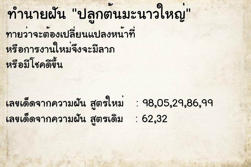 ทำนายฝันทำนายฝันปลูกต้นมะนาวใหญ่