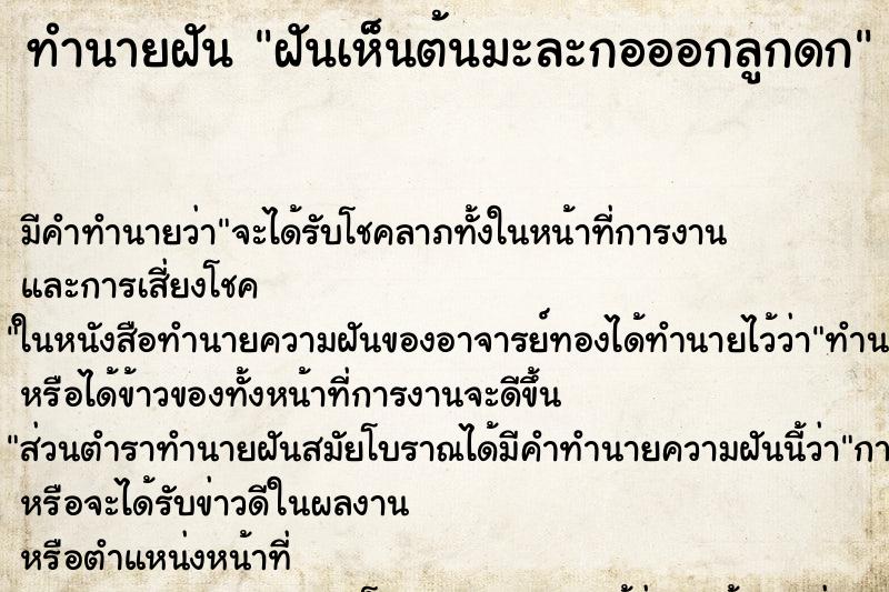 ทำนายฝัน ฝันเห็นต้นมะละกอออกลูกดก ทำนายฝัน ฝันเห็นต้นมะละกอออกลูกดก