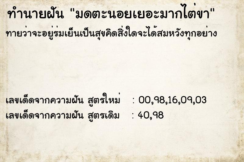 ทำนายฝันมดตะนอยเยอะมากไต่ขา ทำนายฝันทำนายฝันมดตะนอยเยอะมากไต่ขา