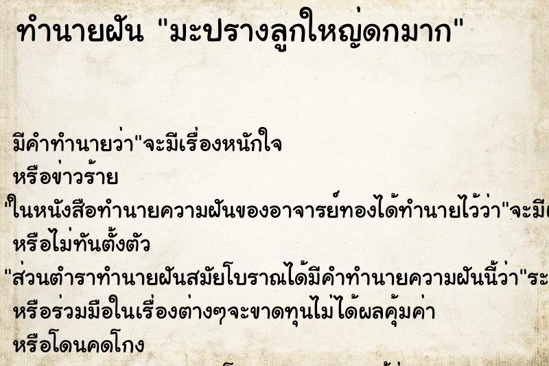 ทำนายฝันมะปรางลูกใหญ่ดกมาก ทำนายฝันทำนายฝันมะปรางลูกใหญ่ดกมาก