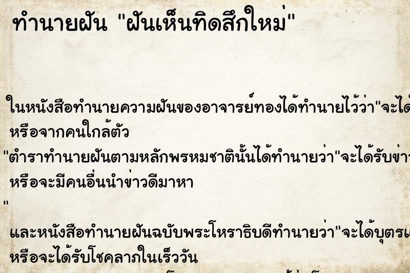 ทำนายฝันฝันเห็นทิดสึกใหม่ ทำนายฝันทำนายฝันฝันเห็นทิดสึกใหม่