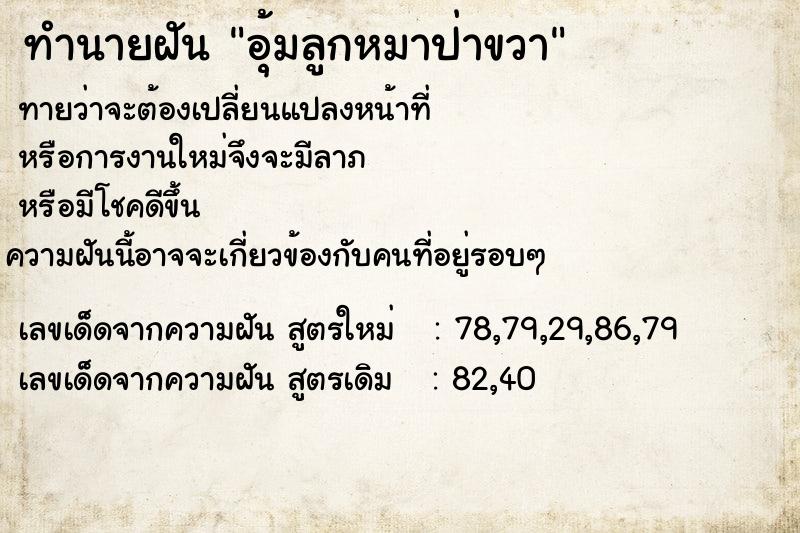 ทำนายฝันอุ้มลูกหมาป่าขวา ทำนายฝันทำนายฝันอุ้มลูกหมาป่าขวา