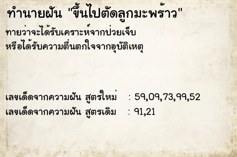 ทำนายฝันขึ้นไปตัดลูกมะพร้าว ทำนายฝันทำนายฝันขึ้นไปตัดลูกมะพร้าว