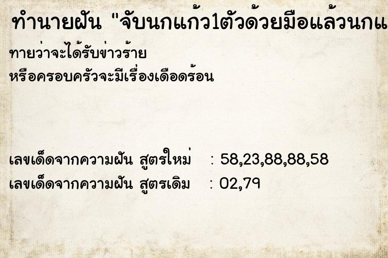 ทำนายฝันทำนายฝันจับนกแก้ว1ตัวด้วยมือแล้วนกแก้วตาย