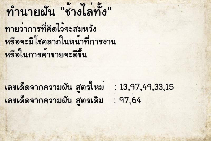 ทำนายฝันช้างไล่ทั้ง ทำนายฝันทำนายฝันช้างไล่ทั้ง