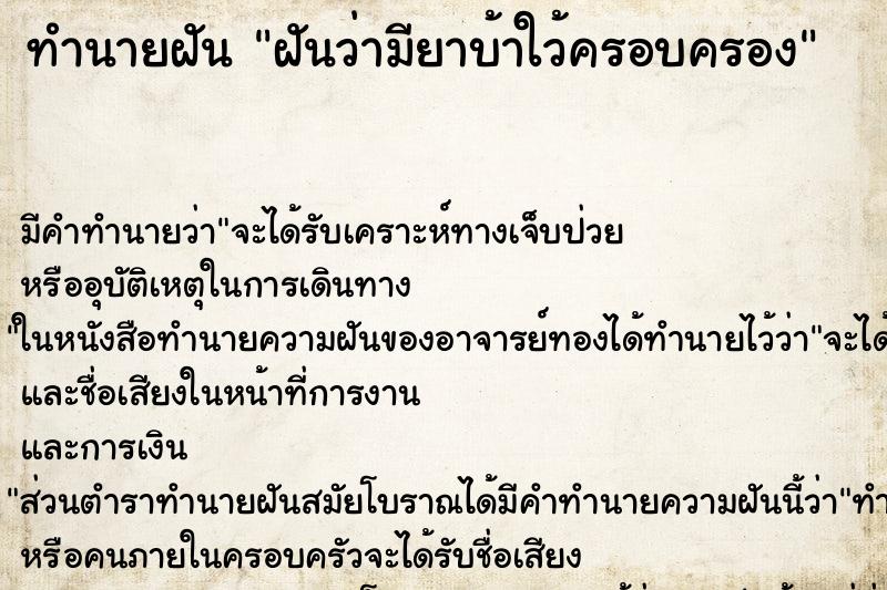 ทำนายฝัน ฝันว่ามียาบ้าใว้ครอบครอง ทำนายฝัน ฝันว่ามียาบ้าใว้ครอบครอง