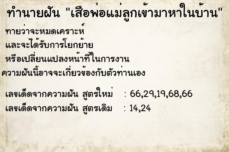 ทำนายฝันเสือพ่อแม่ลูกเข้ามาหาในบ้าน ทำนายฝันทำนายฝันเสือพ่อแม่ลูกเข้ามาหาในบ้าน