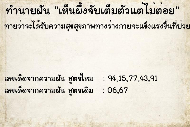 ทำนายฝันเห็นผึ้งจับเต็มตัวแต่ไม่ต่อย ทำนายฝันทำนายฝันเห็นผึ้งจับเต็มตัวแต่ไม่ต่อย