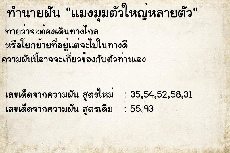 ทำนายฝันแมงมุมตัวใหญ่หลายตัว ทำนายฝันทำนายฝันแมงมุมตัวใหญ่หลายตัว