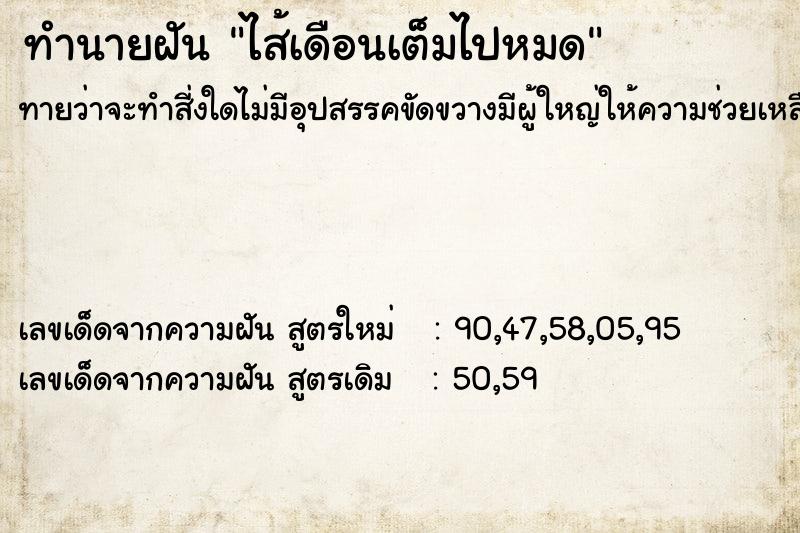 ทำนายฝันไส้เดือนเต็มไปหมด ทำนายฝันทำนายฝันไส้เดือนเต็มไปหมด