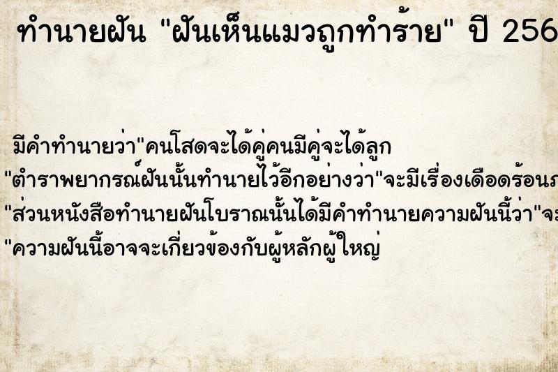 ทำนายฝันฝันเห็นแมวถูกทำร้าย ทำนายฝันทำนายฝันฝันเห็นแมวถูกทำร้าย