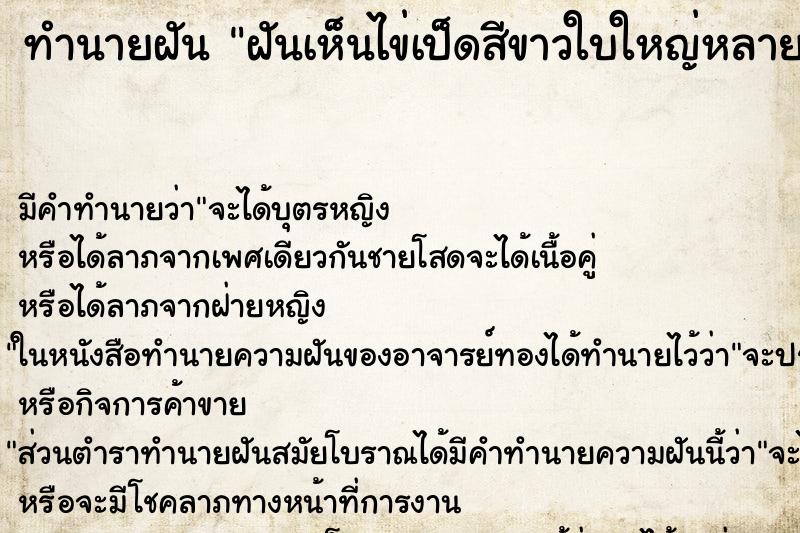 ทำนายฝัน ฝันเห็นไข่เป็ดสีขาวใบใหญ่หลายฟอง ทำนายฝัน ฝันเห็นไข่เป็ดสีขาวใบใหญ่หลายฟอง