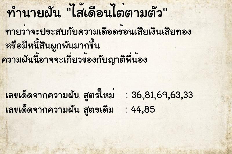 ทำนายฝัน ไส้เดือนไต่ตามตัว ตำราโบราณ แม่นที่สุดในโลก