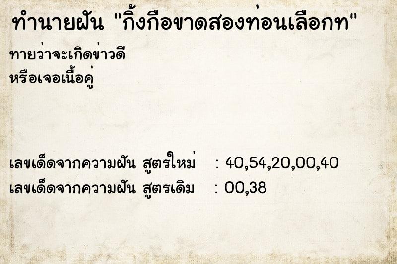 ทำนายฝันกิ้งกือขาดสองท่อนเลือกท ทำนายฝันทำนายฝันกิ้งกือขาดสองท่อนเลือกท