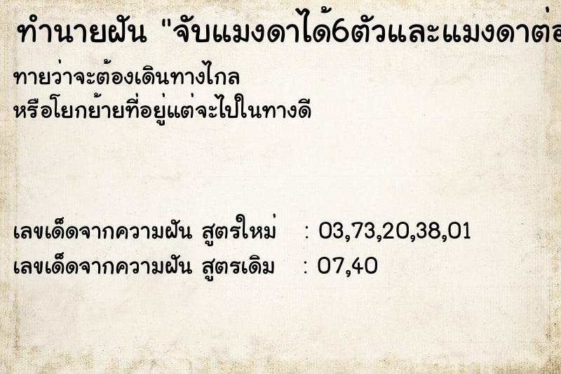 ทำนายฝันทำนายฝันจับแมงดาได้6ตัวและแมงดาต่อยมือ
