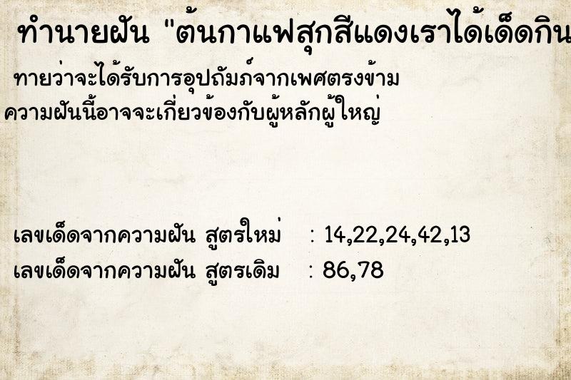 ทำนายฝันต้นกาแฟสุกสีแดงเราได้เด็ดกินเล่นหนึ่งเมล็ด ทำนายฝันทำนายฝันต้นกาแฟสุกสีแดงเราได้เด็ดกินเล่นหนึ่งเมล็ด