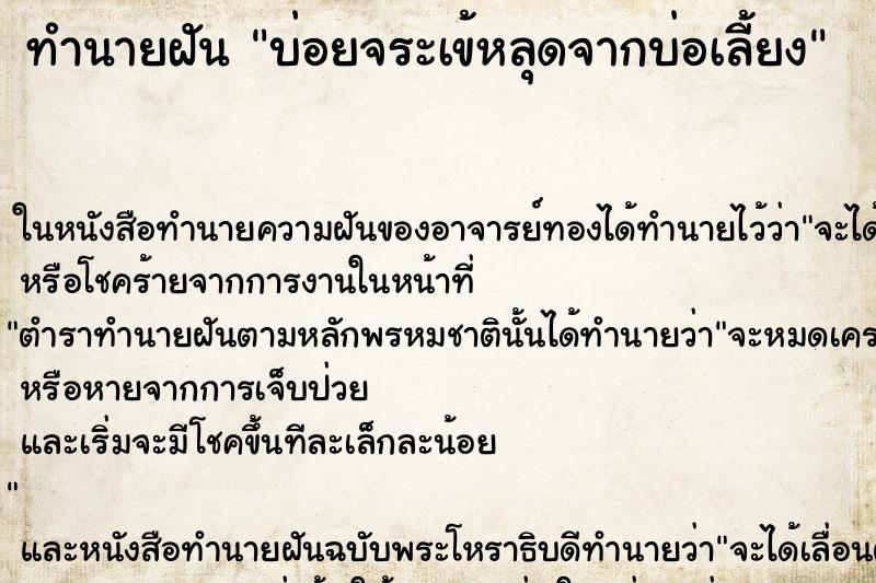 ทำนายฝันบ่อยจระเข้หลุดจากบ่อเลี้ยง ทำนายฝันทำนายฝันบ่อยจระเข้หลุดจากบ่อเลี้ยง