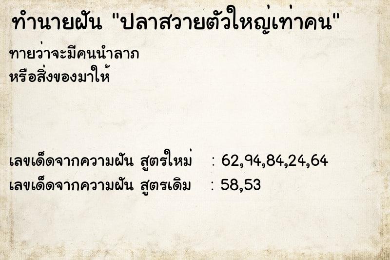 ทำนายฝันปลาสวายตัวใหญ่เท่าคน ทำนายฝันทำนายฝันปลาสวายตัวใหญ่เท่าคน