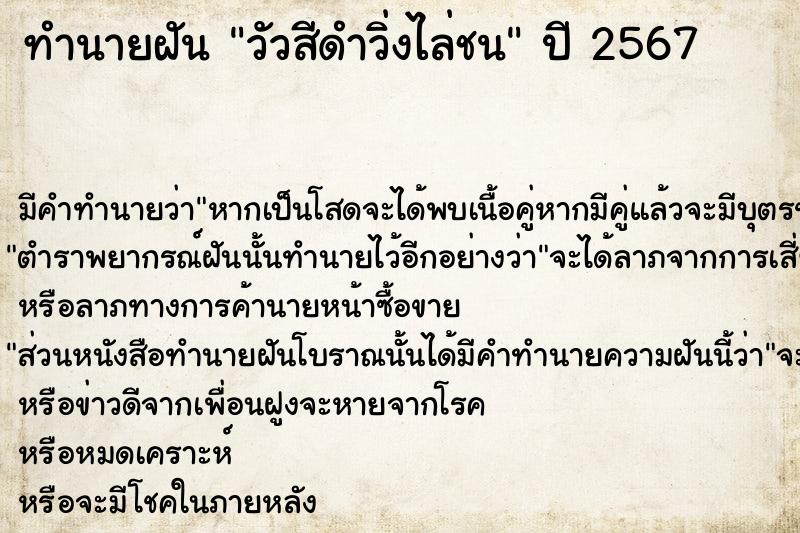 ทำนายฝันทำนายฝันวัวสีดำวิ่งไล่ชน