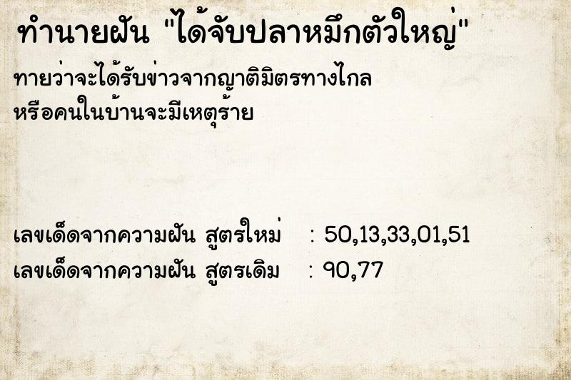 ทำนายฝัน ได้จับปลาหมึกตัวใหญ่ ทำนายฝัน ได้จับปลาหมึกตัวใหญ่