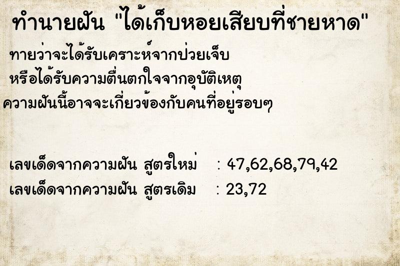ทำนายฝันได้เก็บหอยเสียบที่ชายหาด ทำนายฝันทำนายฝันได้เก็บหอยเสียบที่ชายหาด