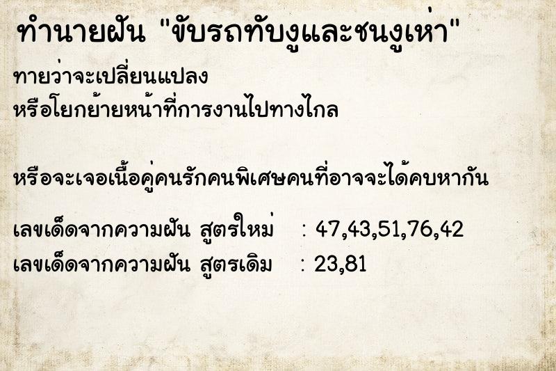 ทำนายฝันทำนายฝันขับรถทับงูและชนงูเห่า