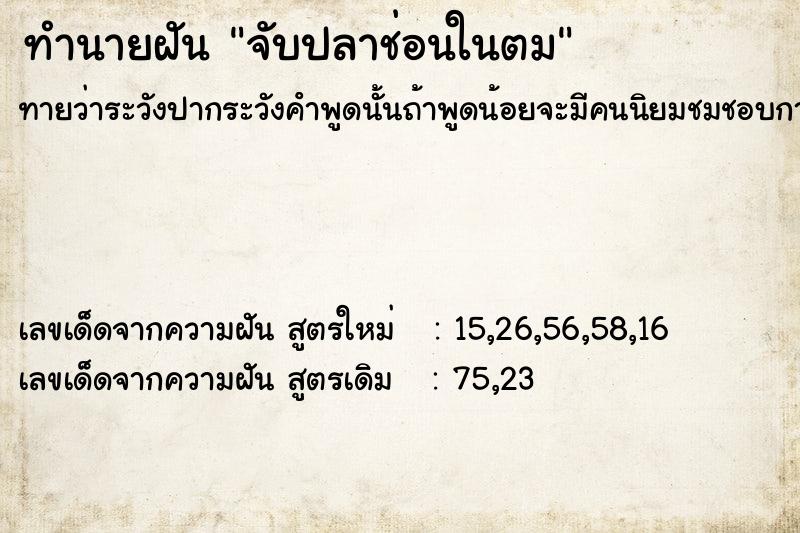 ทำนายฝันทำนายฝันจับปลาช่อนในตม