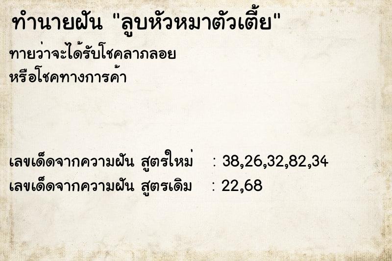 ทำนายฝันลูบหัวหมาตัวเตี้ย ทำนายฝันทำนายฝันลูบหัวหมาตัวเตี้ย